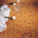 Acquaris-Oran-fr-qjH9chZkDgoqFfSk