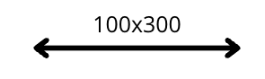 100x300