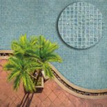 Iridis-31-fr-bneobCL4LdCXohX4