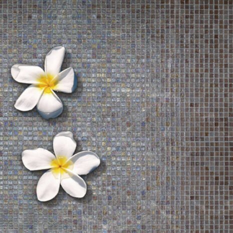 Iridis-63-fr-xgt3fUoBZxLuXN5r Iridis-63-fr-xgt3fUoBZxLuXN5r