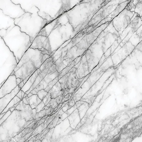 VEGA-WHITE-F3 VEGA-WHITE-F3